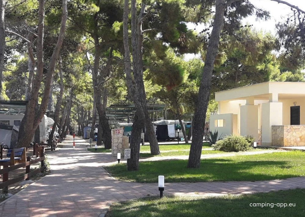 Camping Spiaggia Lunga — Campingplads in Vieste FG