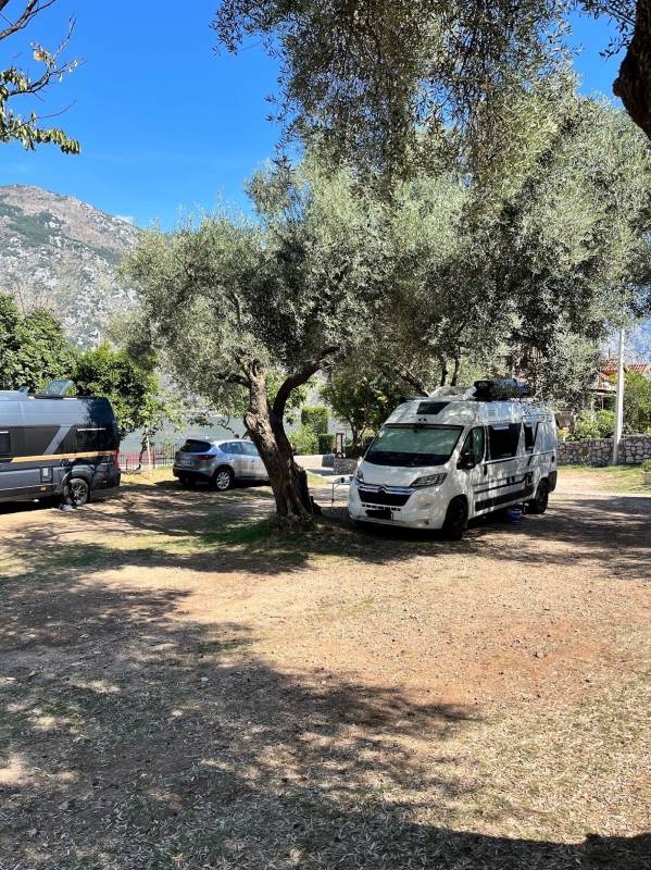 Camping Mimoza — Campingplass in Tivat