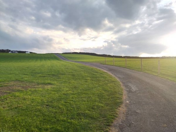 Combas Farm — Foto 2