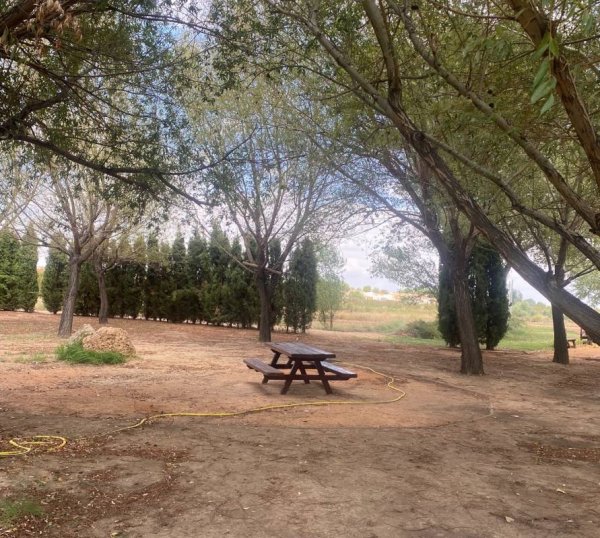 San Pedro, Albacete, Spanien