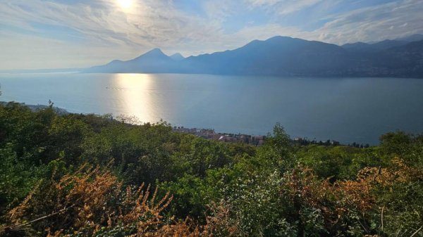Agricampeggio Le Terrazze sul Garda — Foto 3