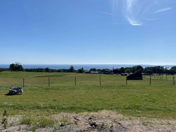 The View — Photo 2