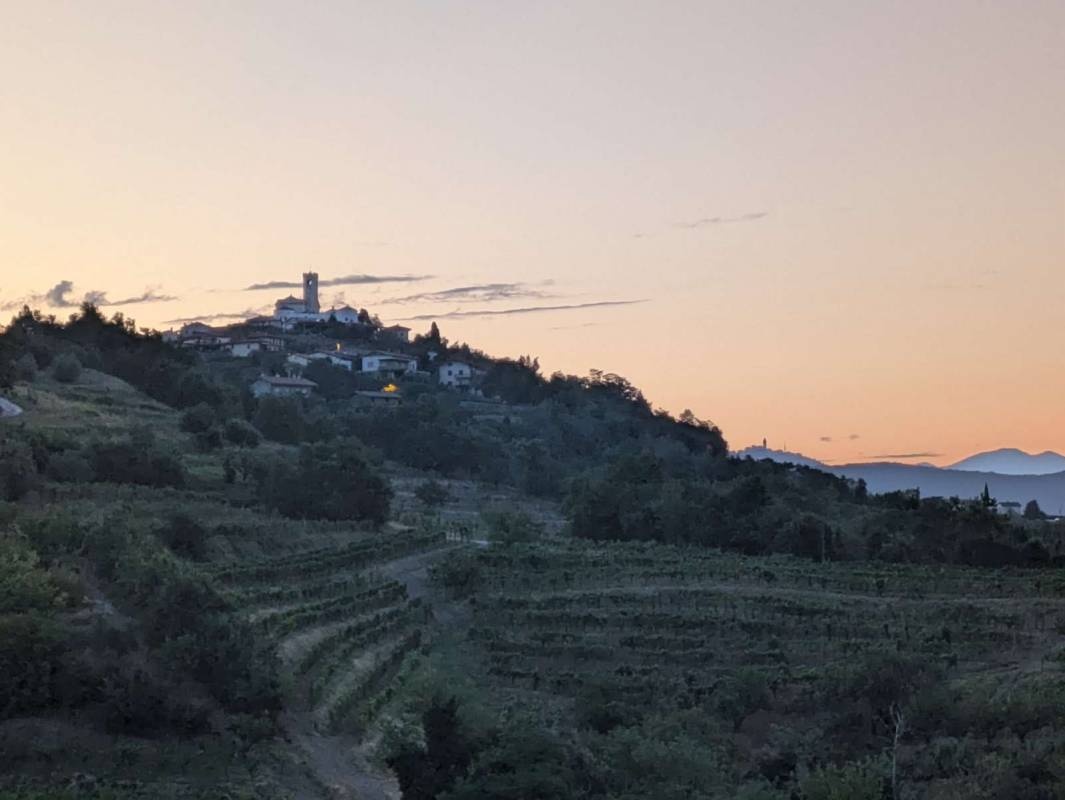 Vina Sosolič — Wijnmakerij in Dobrovo, Goriška Brda