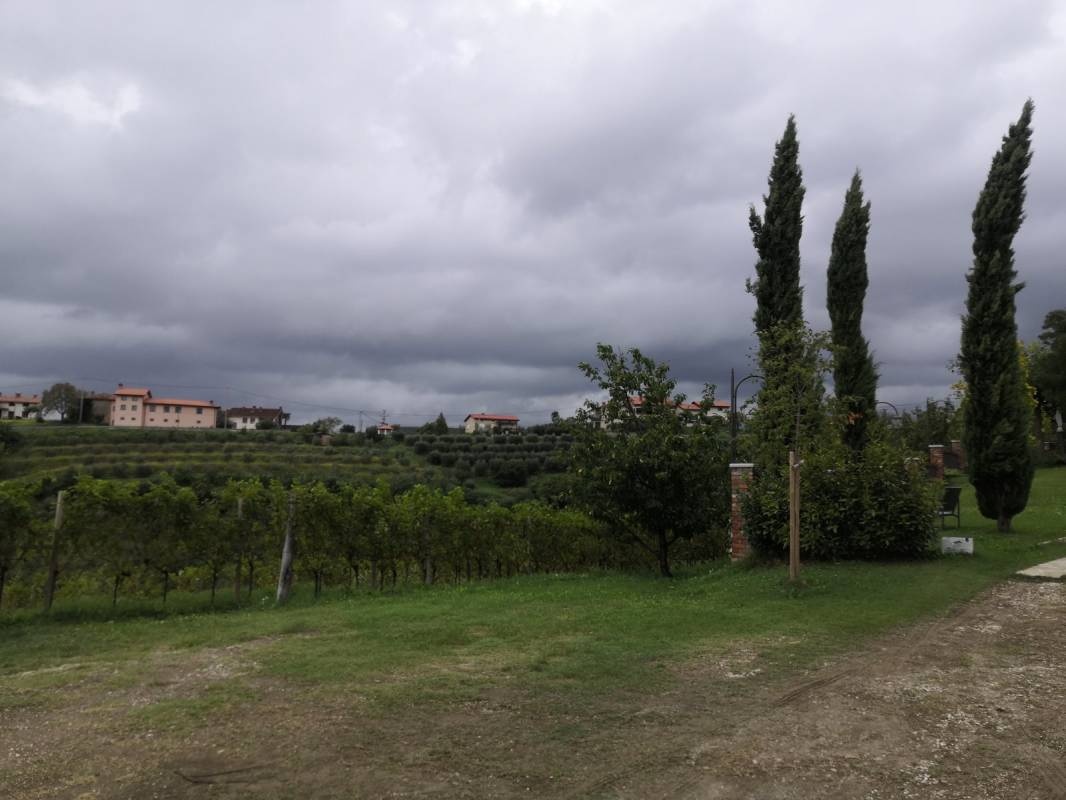 Vina Sosolič — Winiarnia in Dobrovo, Goriška Brda