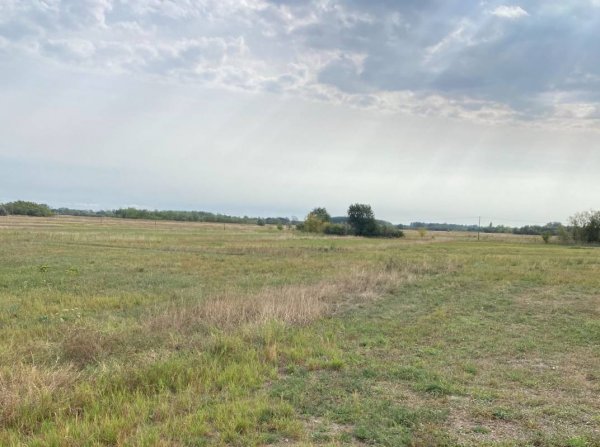 Nandafalva Hindu Tempel — Photo 4