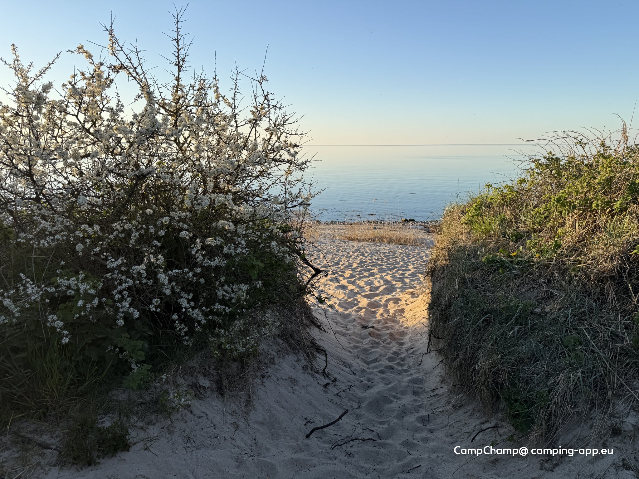 Camping- und Ferienpark Surendorf — Fotoğraf 3