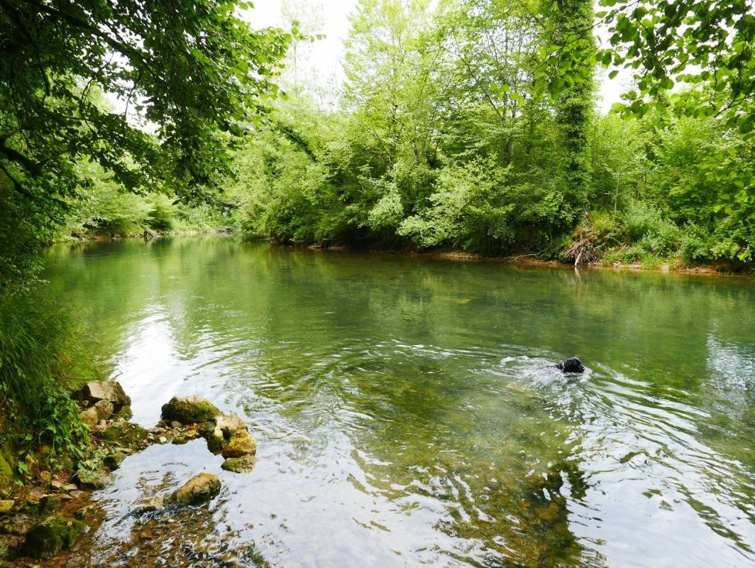 Camping Municipal Montgesoye — Camping Site in Montgesoye