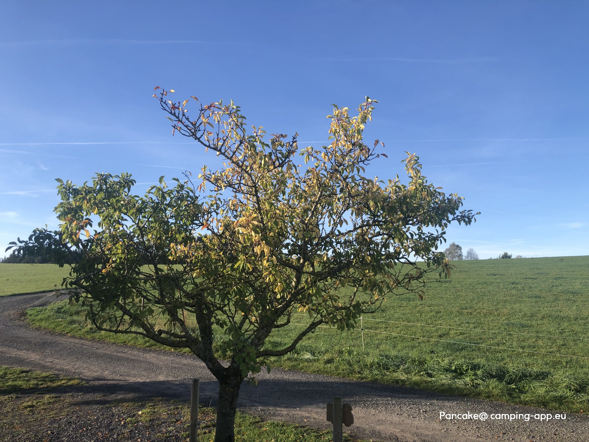 Wohnmobilstellplatz Lahmenhof — Foto 3