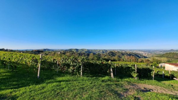 Agriturist Rupestr — Foto 4
