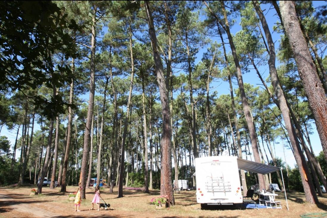Camping Teouleyre — Kemp in Saint-Julien-en-Born