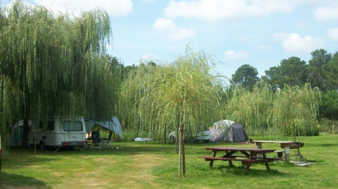 Aire Naturelle de Camping PIOU DE PELLE — Camping in Saint-Julien-en-Born
