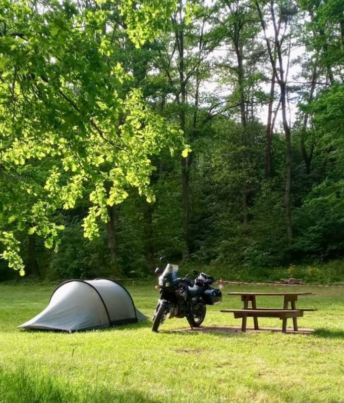 Aire Naturelle de Camping du Hohenfels, Rue du Stade, Dambach, Frankreich — Kemp in Dambach