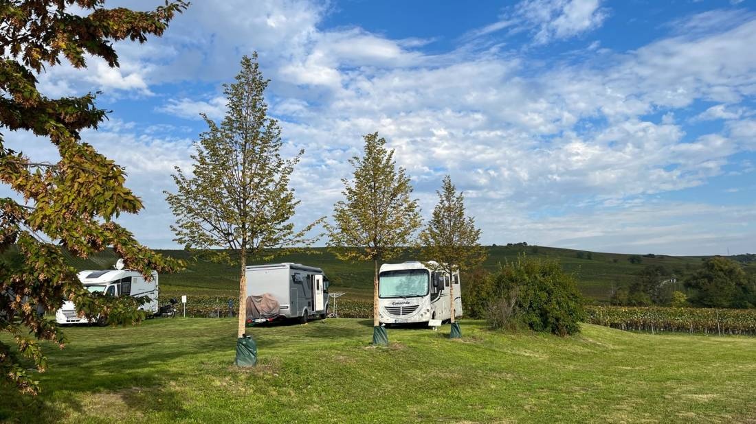 Bodenheim Wohnmobilstellplatz — Area di sosta in Bodenheim