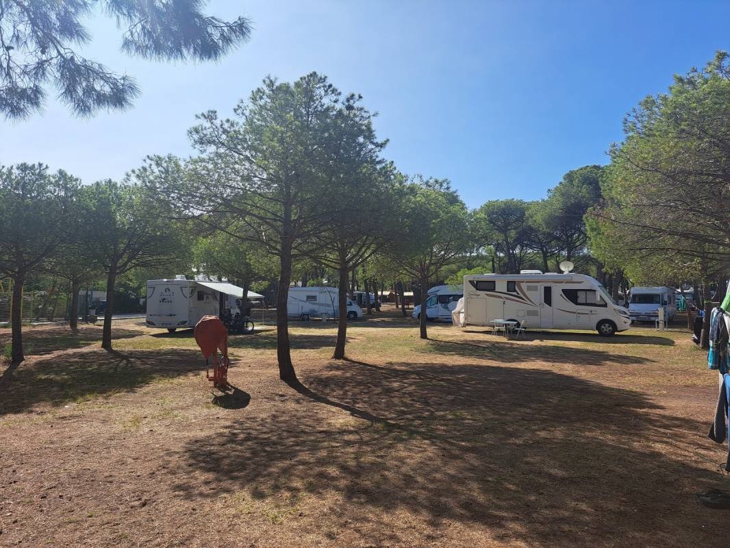 Camping La Tamarissière **** — Kemping in Agde
