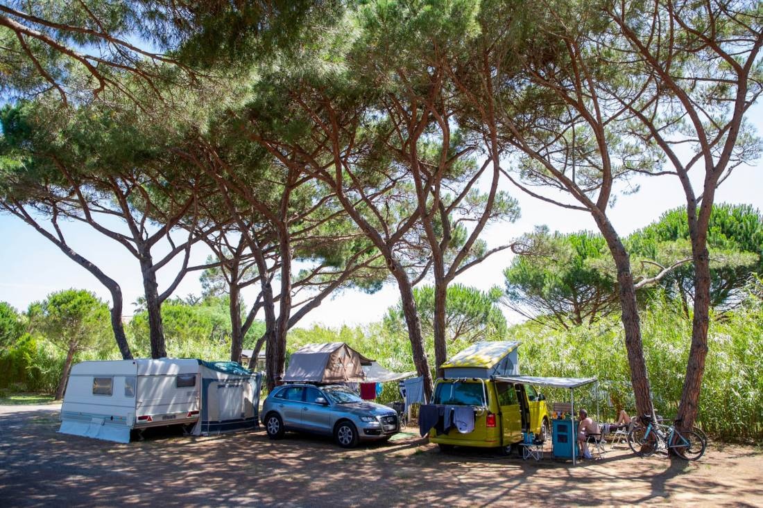 Camping Les Eucalyptus  — Camping Site in Ramatuelle