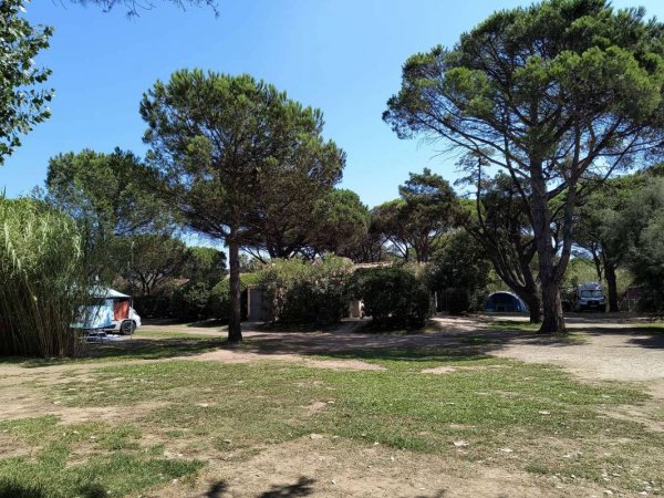 Camping Les Eucalyptus  — Photo 2