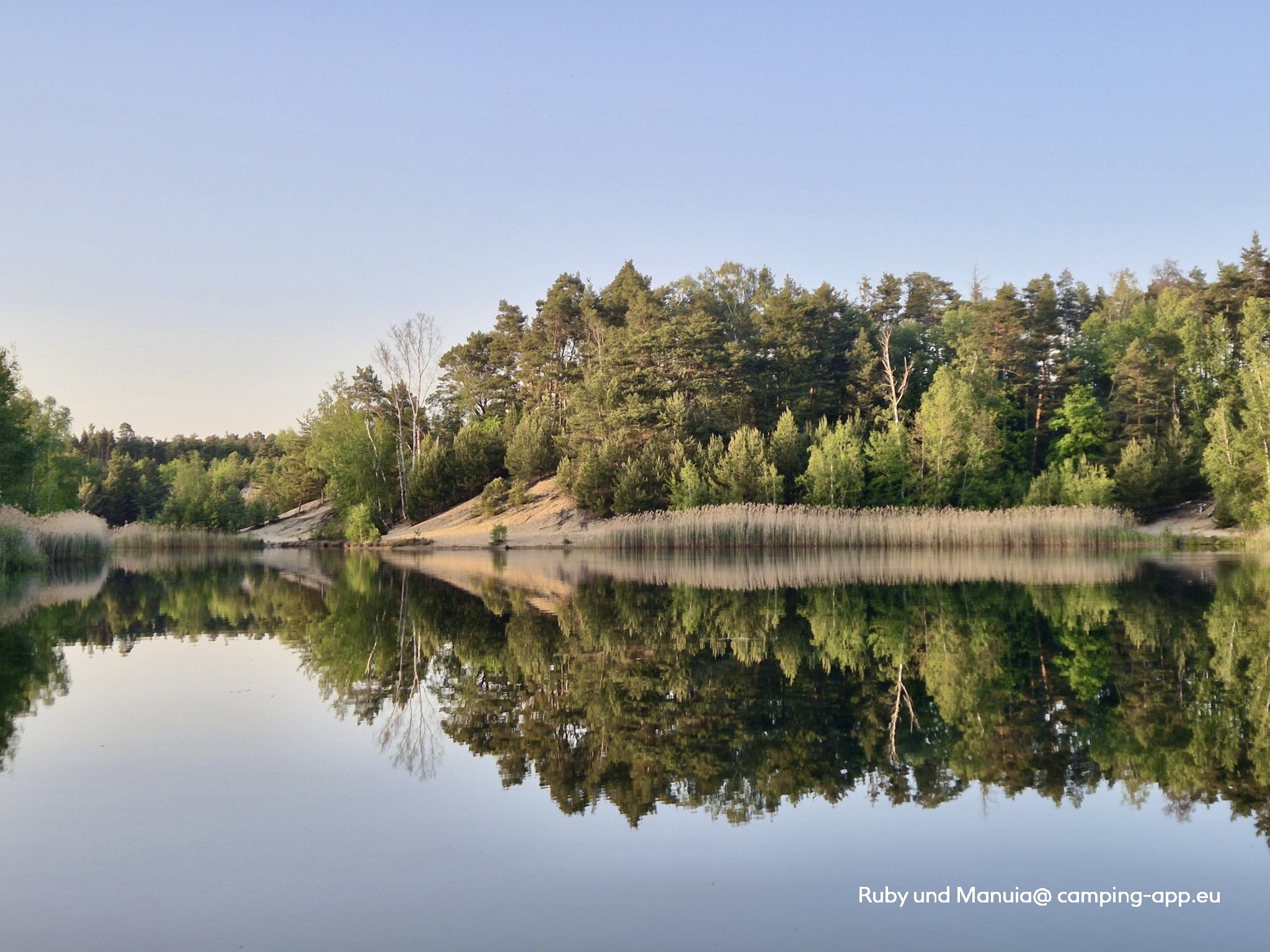 Waldbad Zeischa — Photo 6
