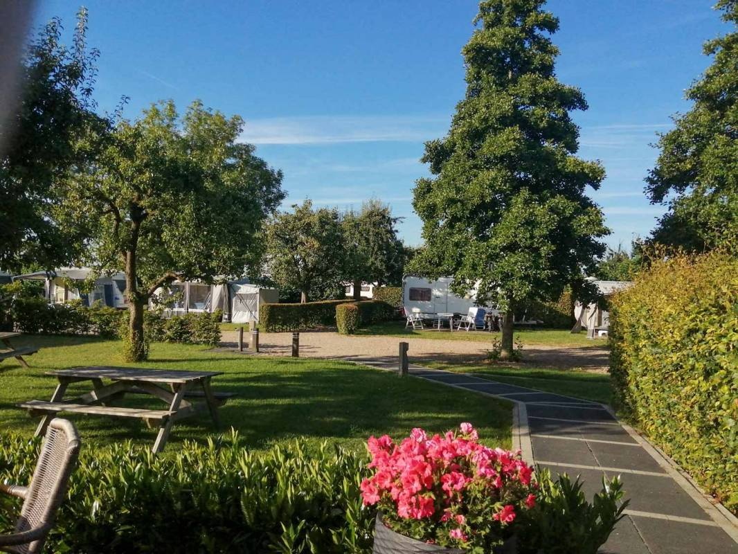 Camping 't Boomgaardje — Camping Site in Wijk bij Duurstede