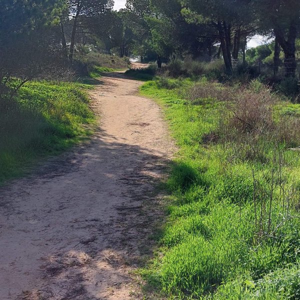 Parque  Caravans Açoteias — Foto 4