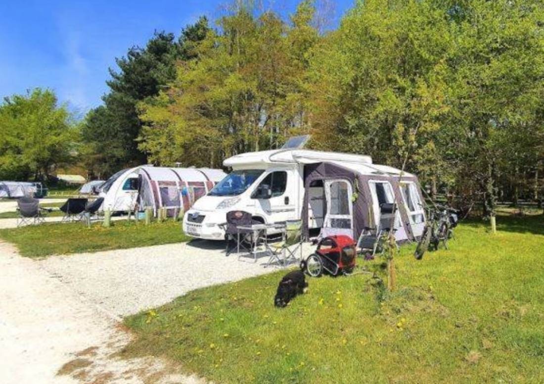 Sherwood Pines Camping — Cámping in Mansfield