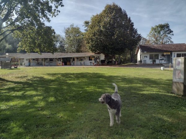 Camping résidentiel Les Marronniers — Fotografie 4