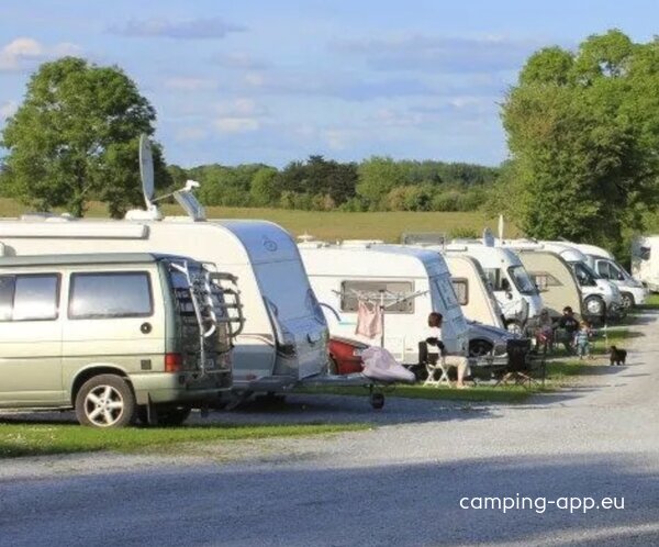 Adare Camping And Caravan Park — Foto 2