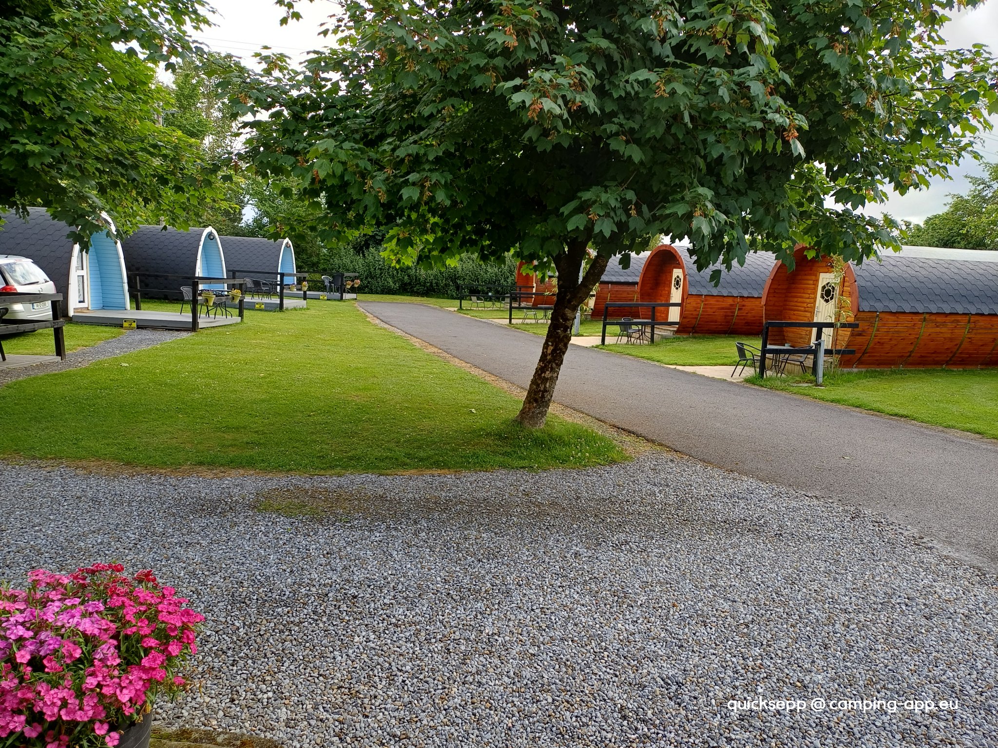 Tree Grove Kilkenny Camping — Foto 5