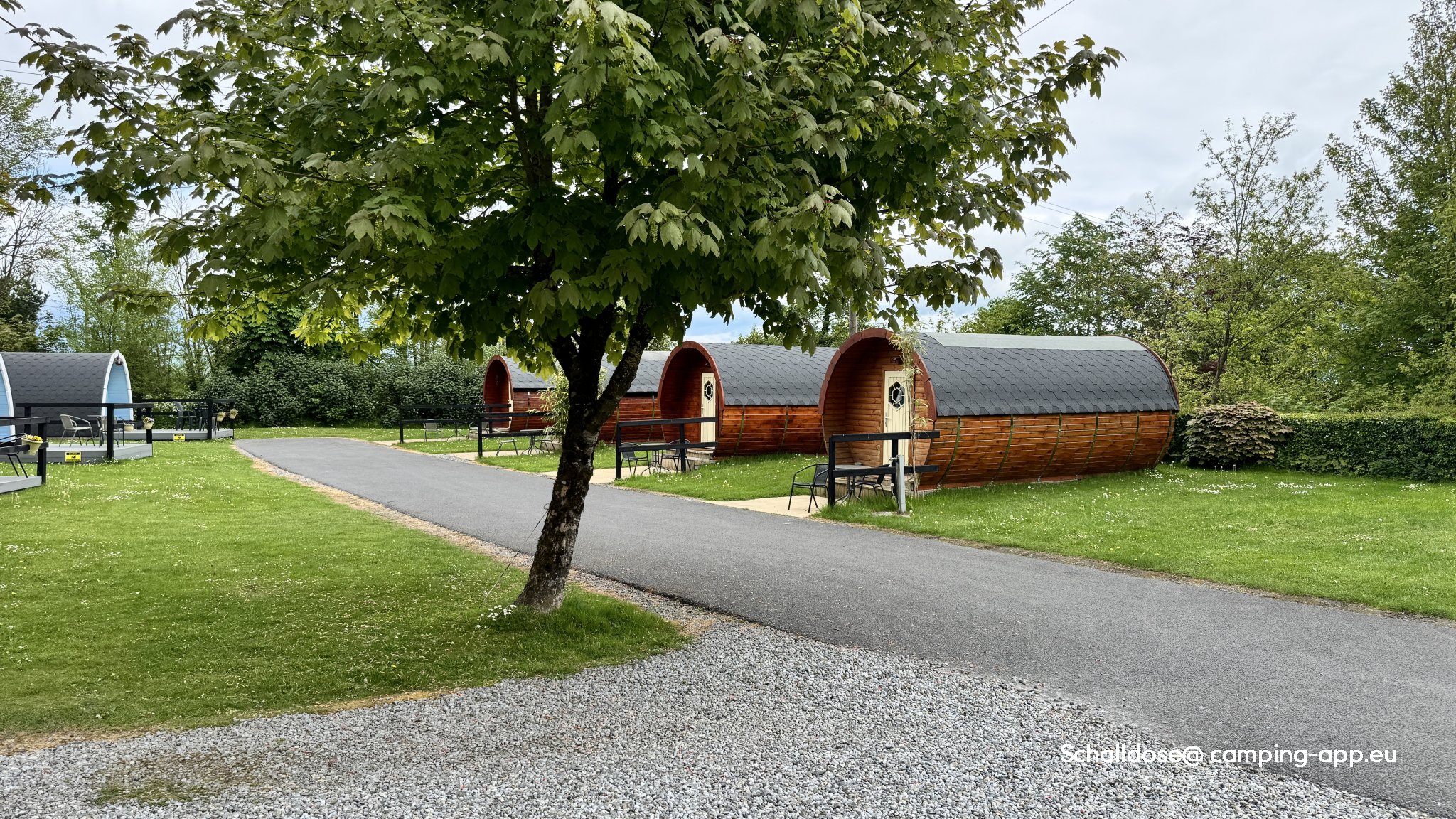 Tree Grove Kilkenny Camping — Photo 5