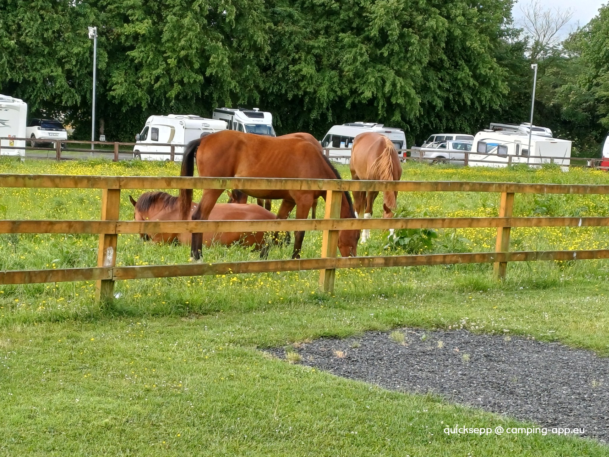Tree Grove Kilkenny Camping — Campingplatz in New Ross Road Co. Kilkenny