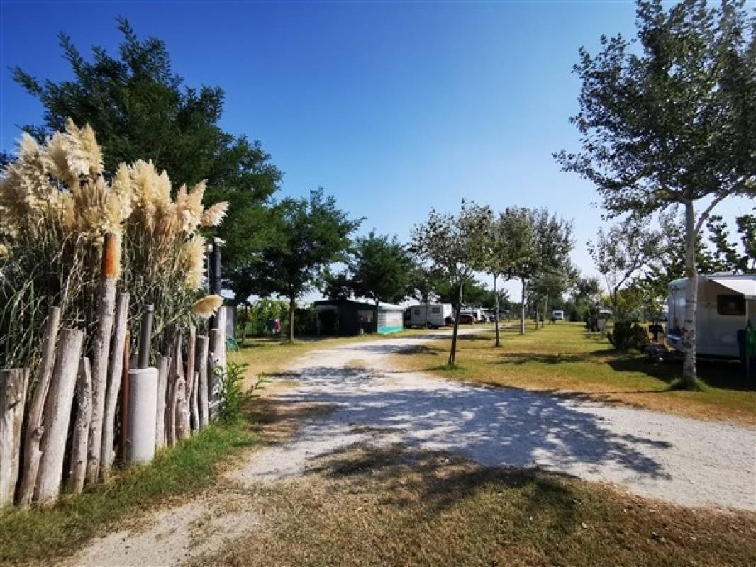 Bio Camping Ravenna — Camping Site in Classe