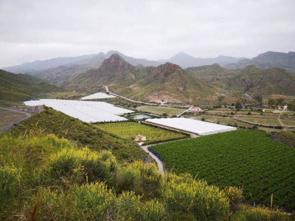 Área Camper La Ermita — Photo 2