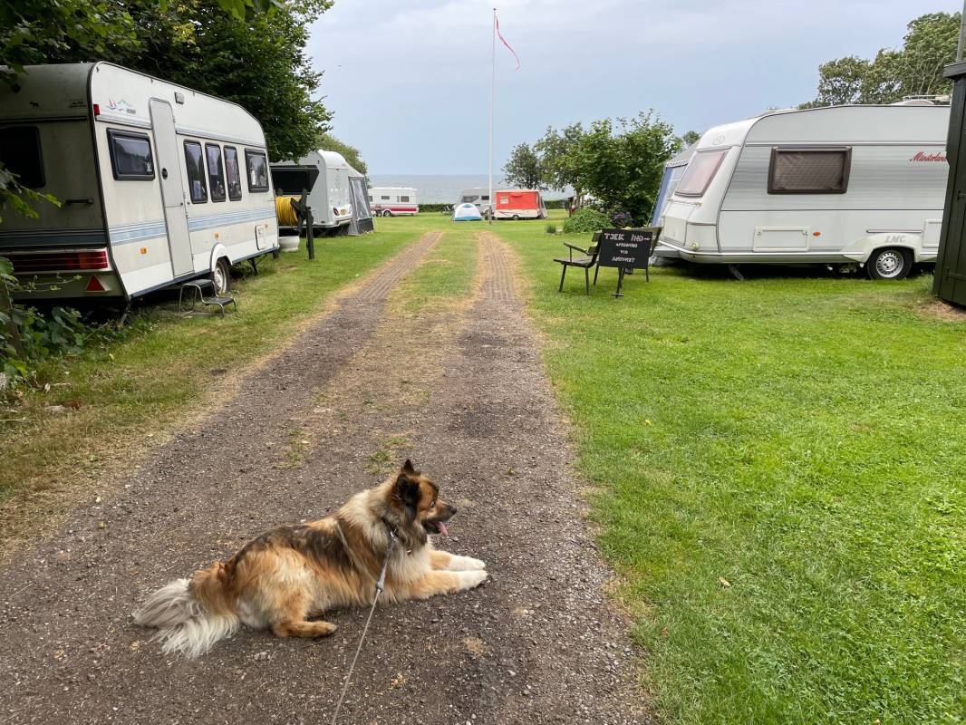 FKK Naturistforeningen Fyn — Місце для кемпінгу in Faaborg