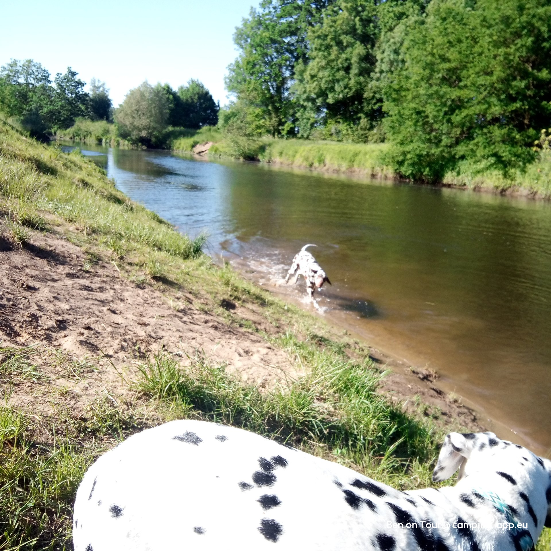 Campingplatz Sonnenwiese — Foto 2