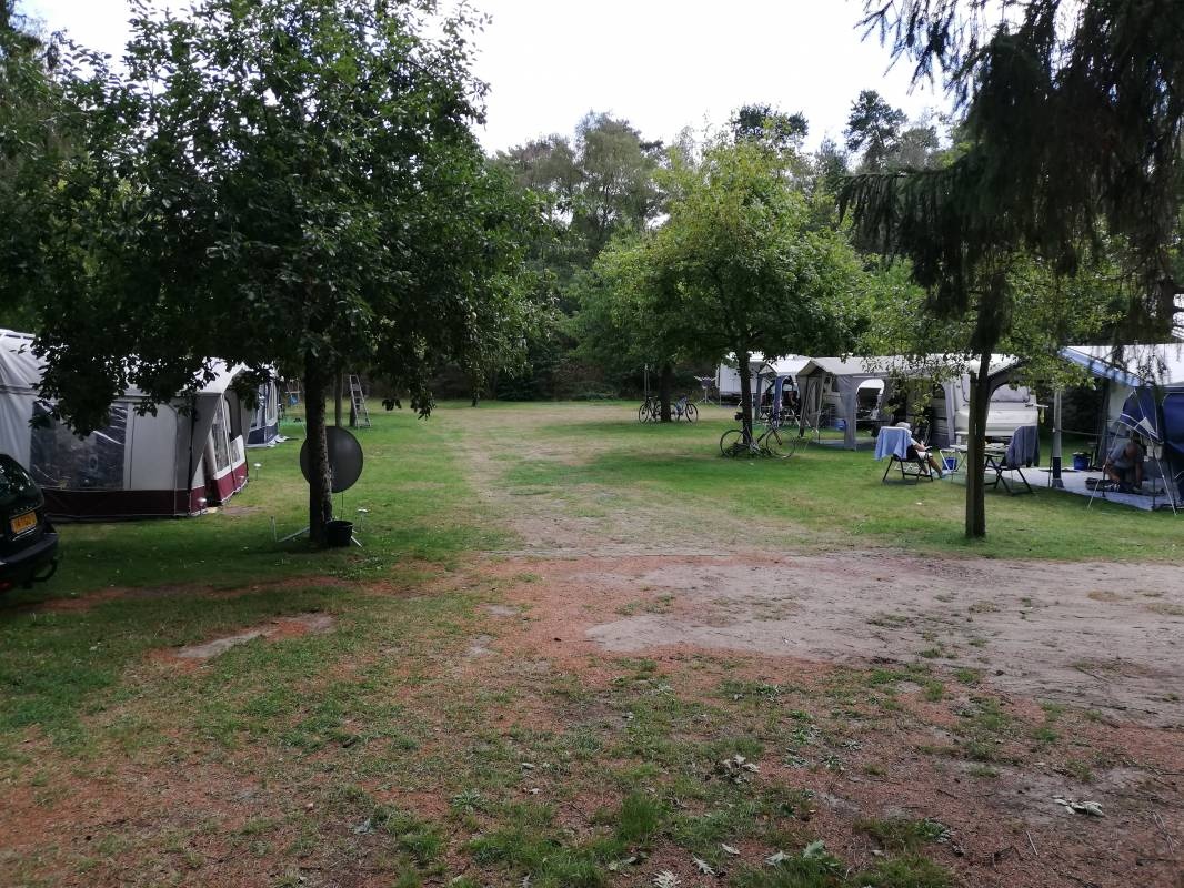 Minicamping d'n Dikkenberg — Stellplatz in Wellerlooi