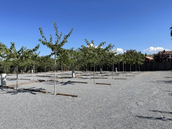 Area Camper El Cortijo — Photo 4