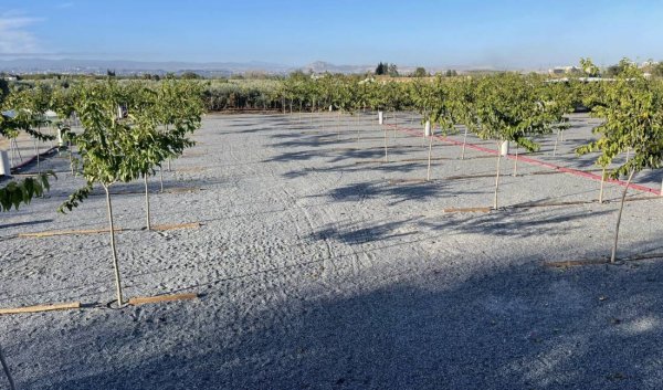 Area Camper El Cortijo — Photo 6