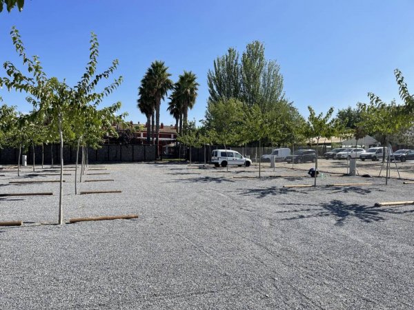 Area Camper El Cortijo — Photo 3