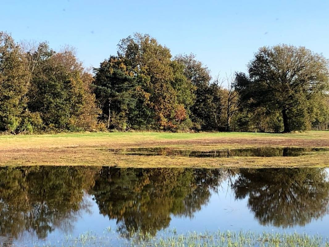 Camping Siesta — Campingplatz in Lille