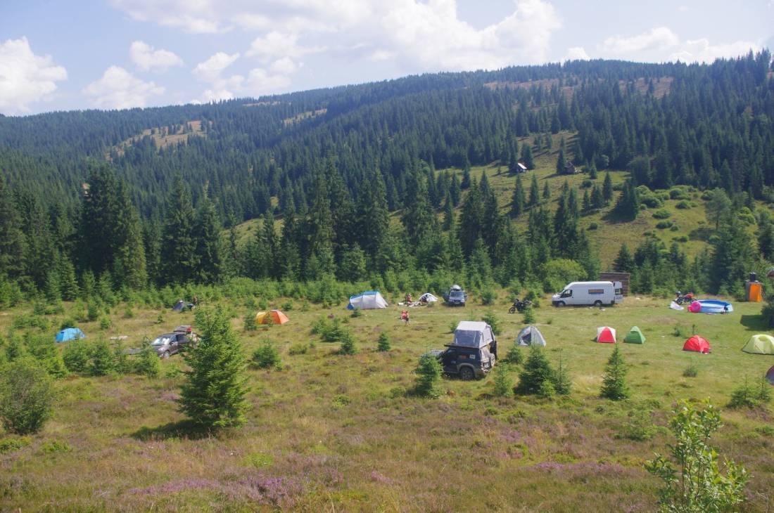 Black Sheep Camp — Sítio de acampamento in Poiana Horea