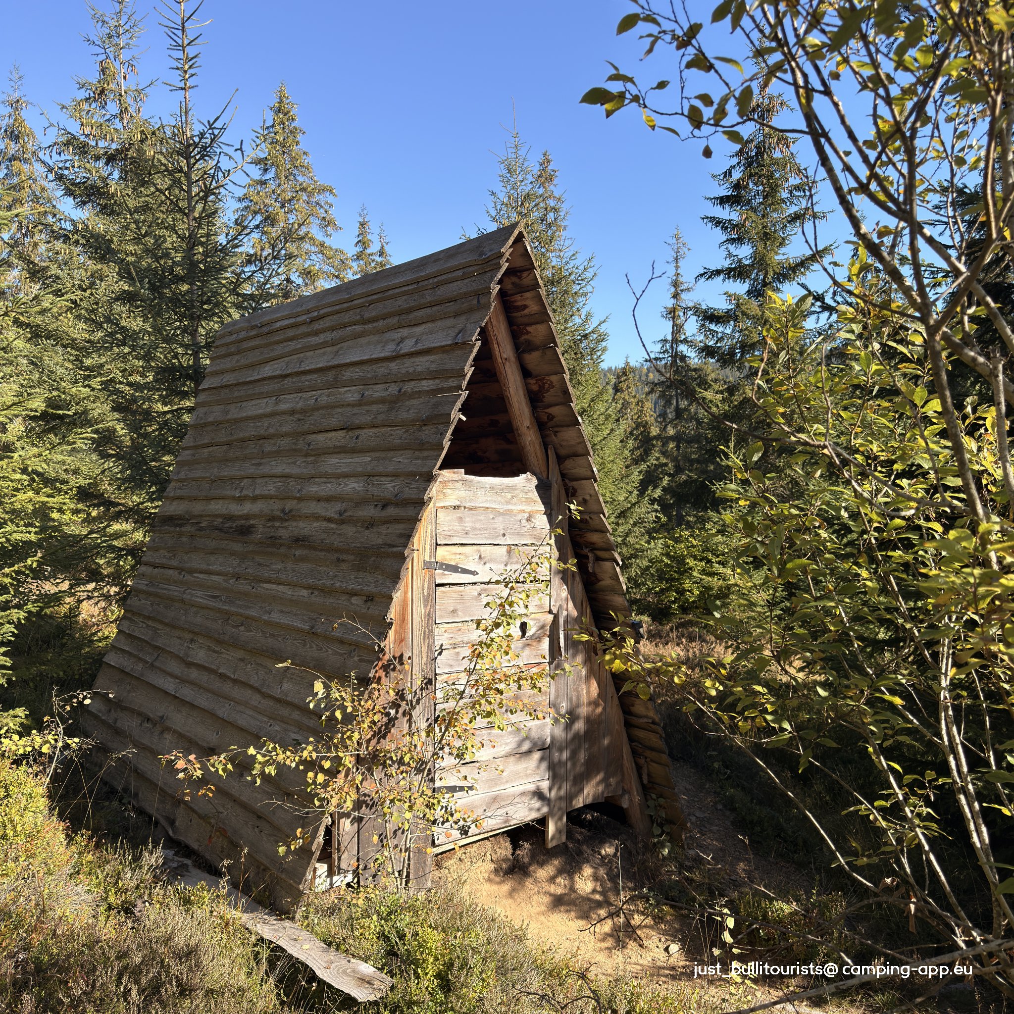 Black Sheep Camp — Foto 3