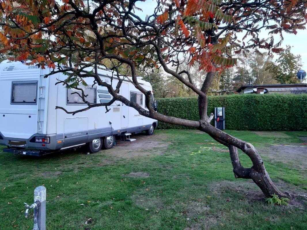 Camping & Klompenmakerij Ten Hagen — Camping in Winterswijk