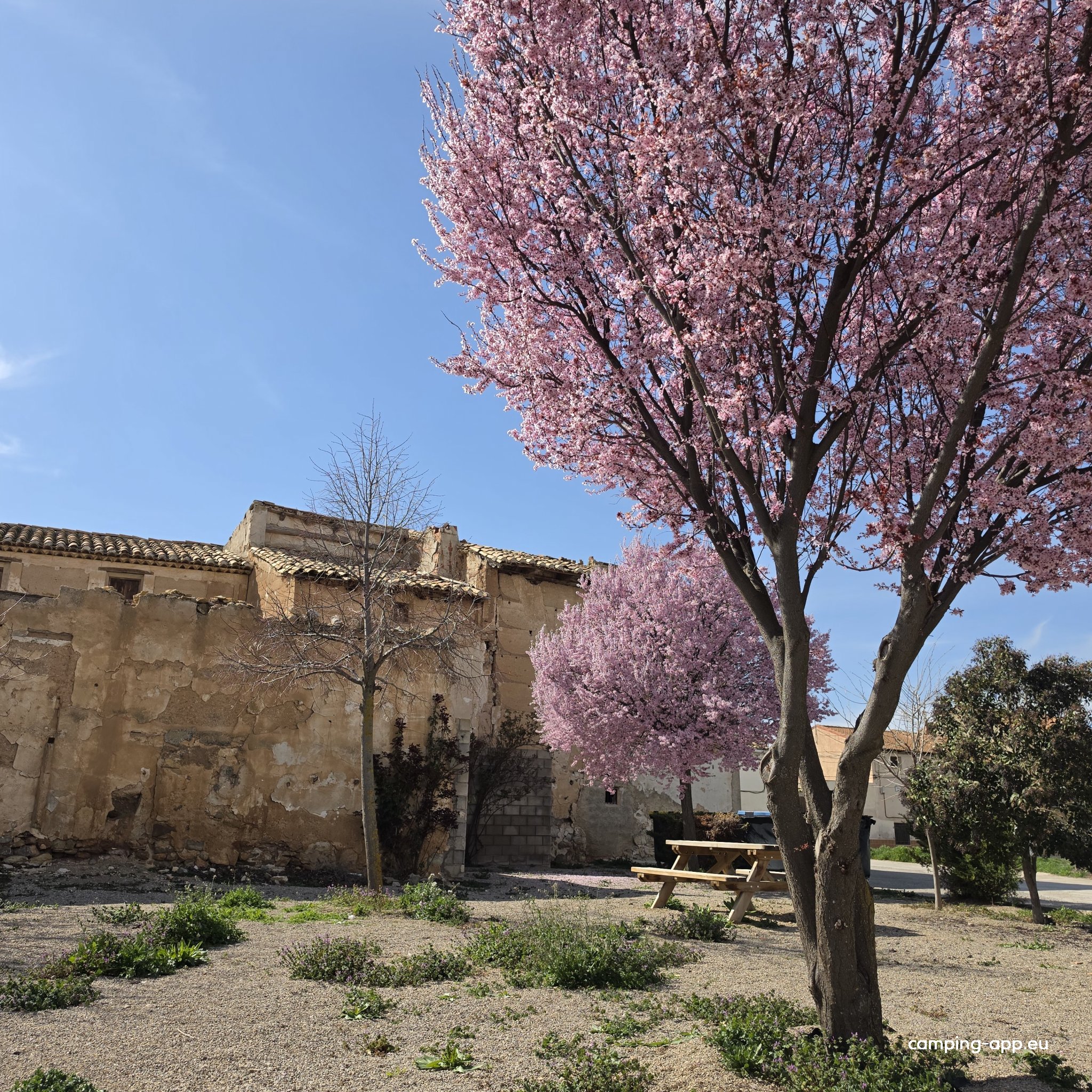 Torremocha de Jiloca — Fotoğraf 3