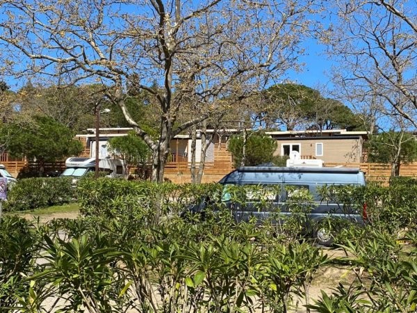 Camping Municipal La Pinede — Photo 3