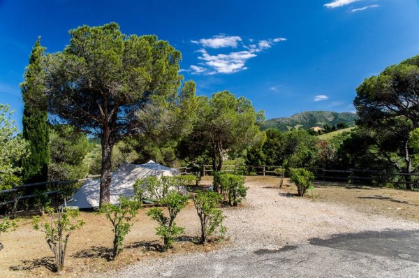 Camping Municipal La Pinede — Photo 4