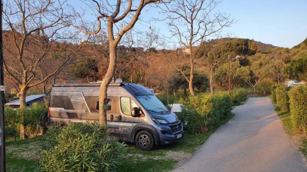 Camping Municipal La Pinede — Photo 2