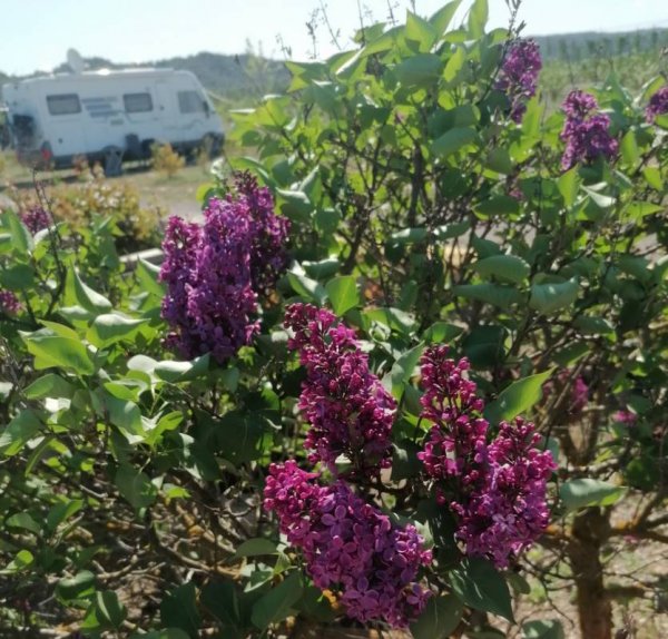 Montana Camping Fayon — Photo 2