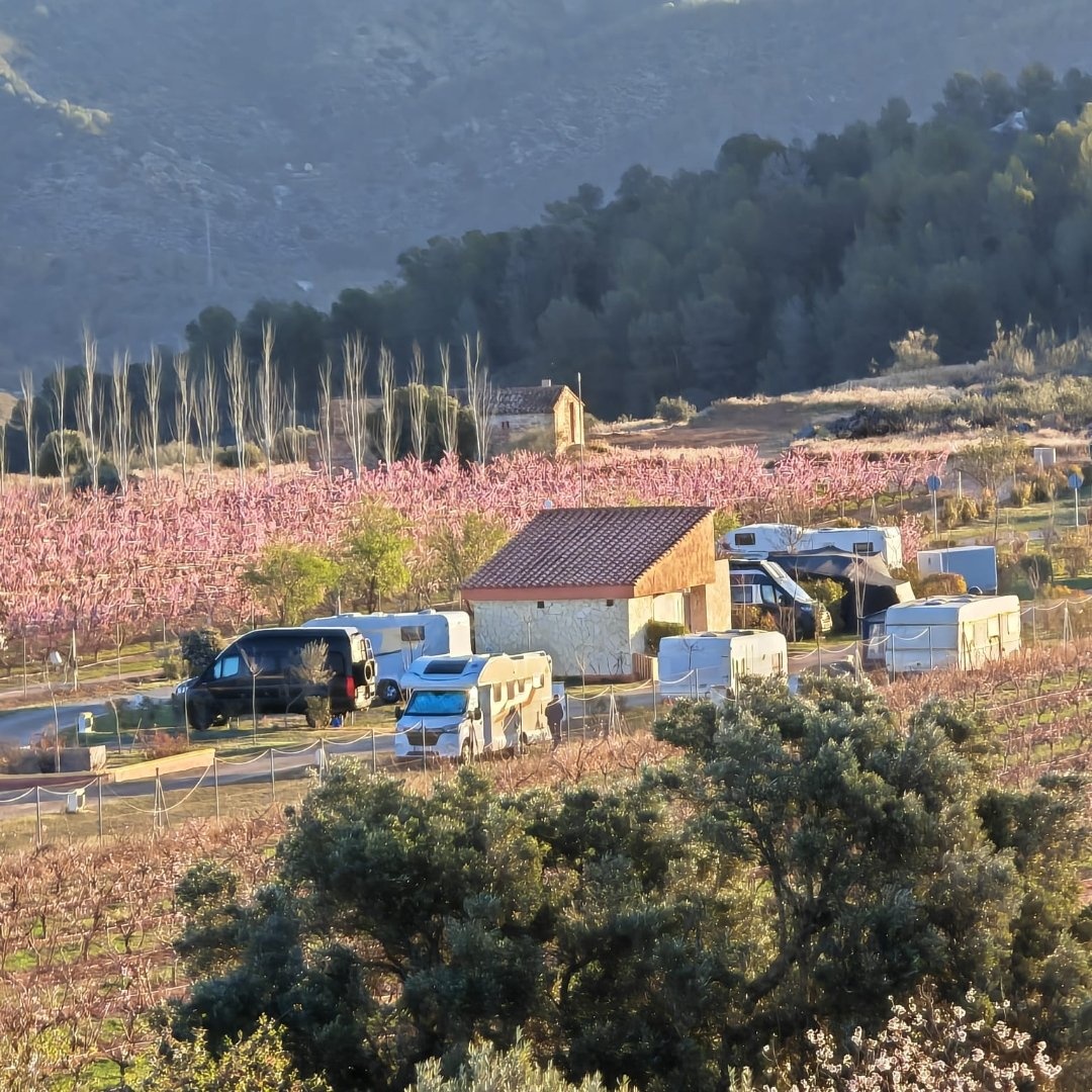 Montana Camping Fayon — Campingplats in Fayón
