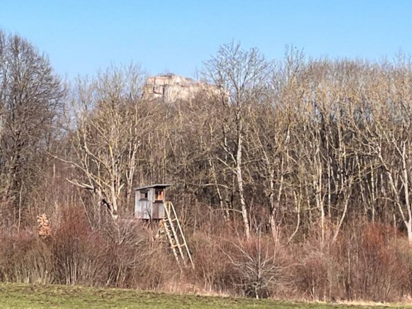 Wanderparkplatz Hochholz Hülben — Photo 3