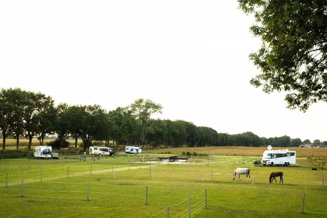 Camping de Leemvijver — Campingplads in Steggerda