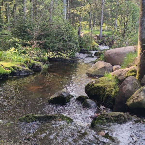 Camping La Sténiole ****